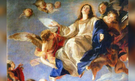 Solemnidad de la Asunción de María a los Cielos